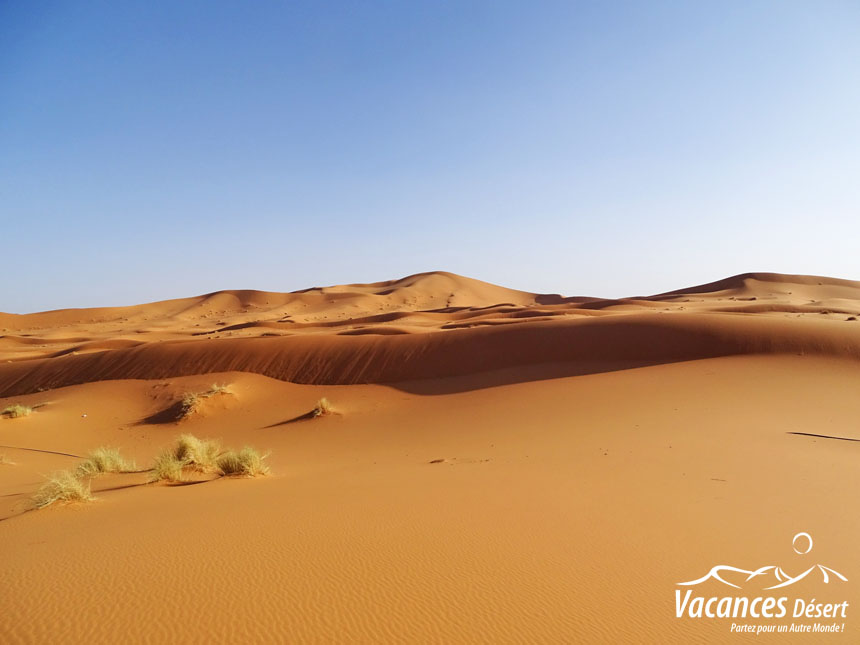 Voyage Sud Maroc : Circuits Désert Maroc, Bivouac Luxe & Rencontres